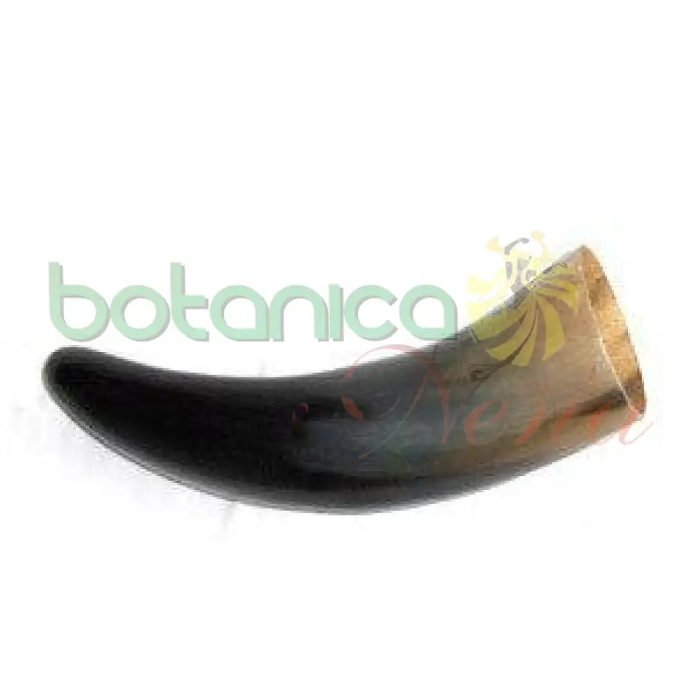 Tarro Pulido - Cuerno de Buey - Botanica Nena