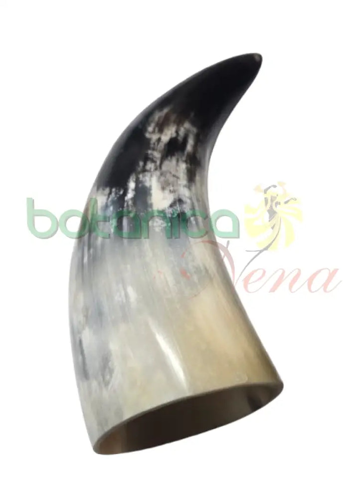 Tarro de Buey Pulido Pequeño 4’’H a 6.5’’H Aprox