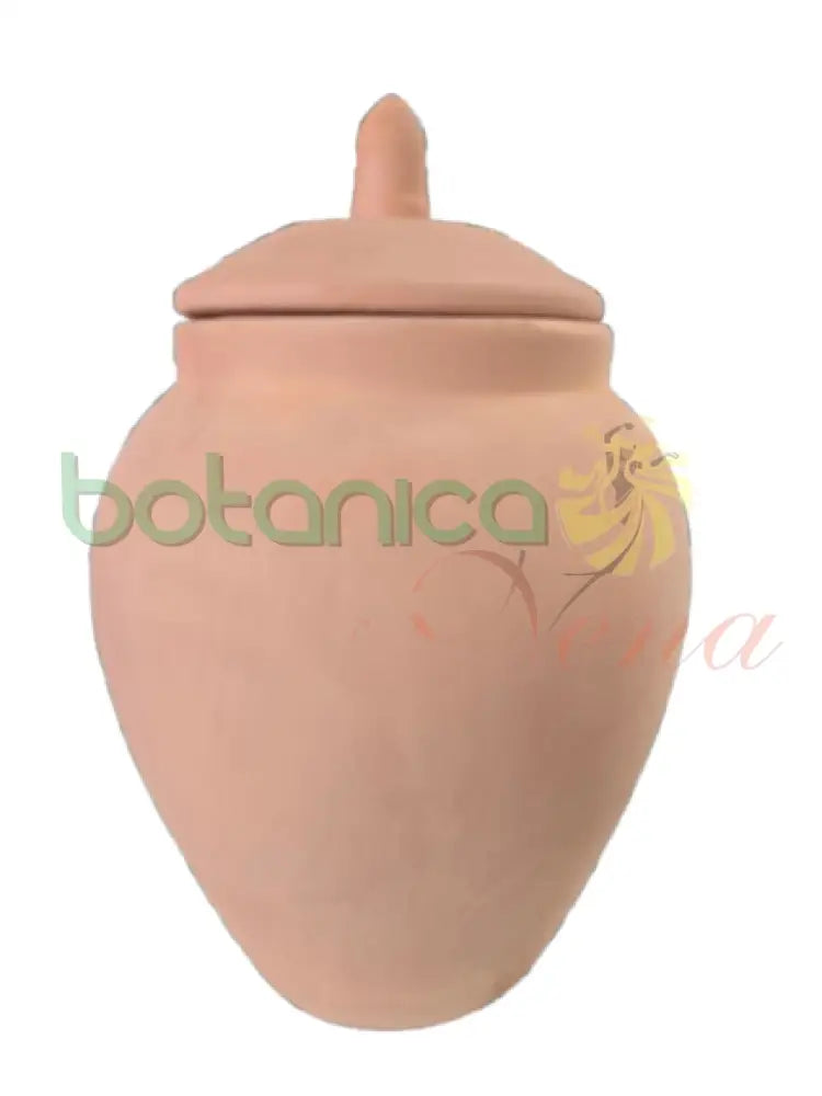 Tinaja de Barro / Rio 9’’X6’’