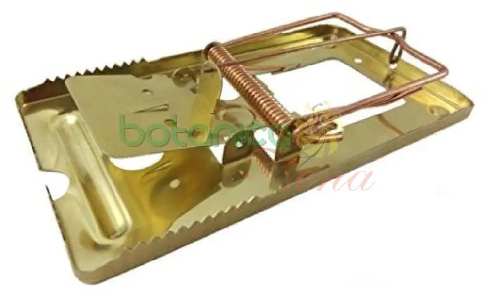 Trampa de metal Plateada 6"Alto x 3.8"Ancho - Botanica Nena