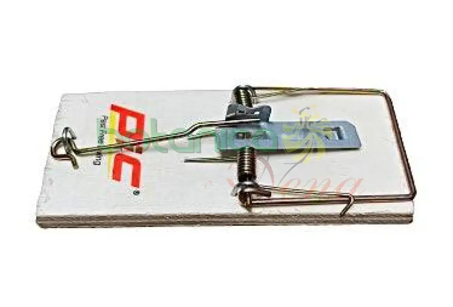 Trampa Para Ratones 4"X2" - Botanica Nena