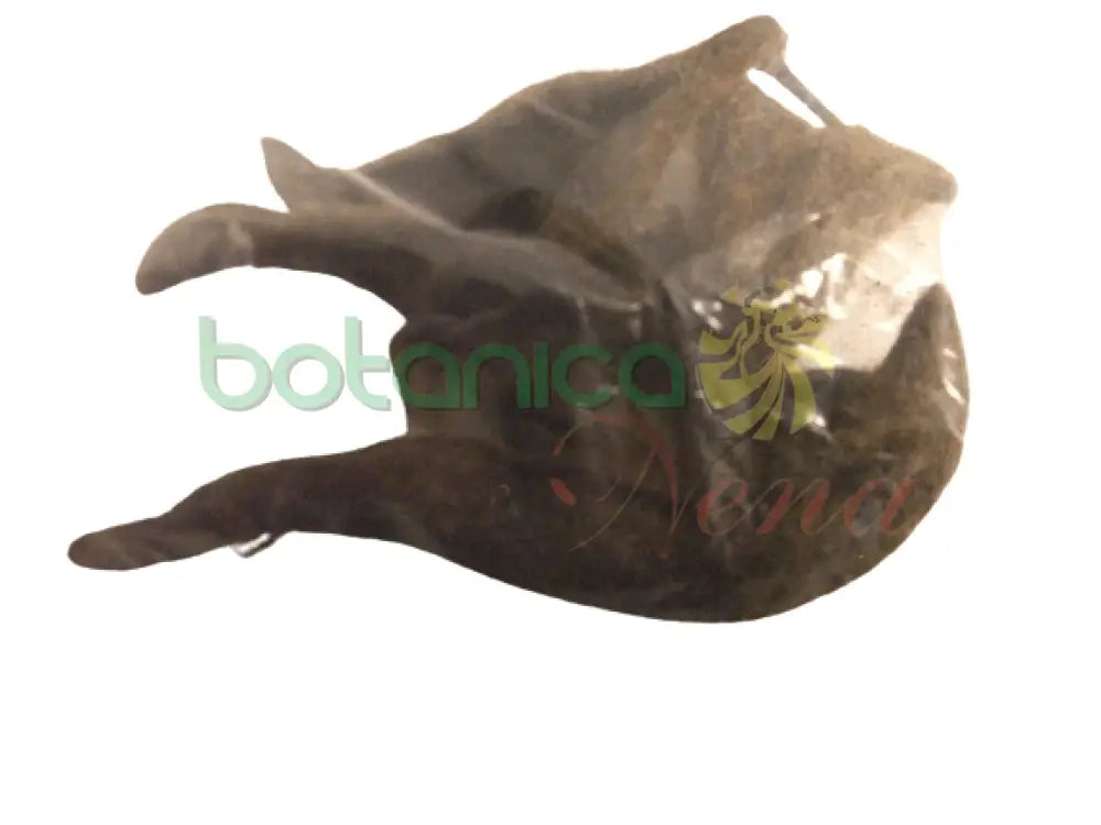 Vainas Pica Pica (Aprox 2-3 ech bag) - Botanica Nena