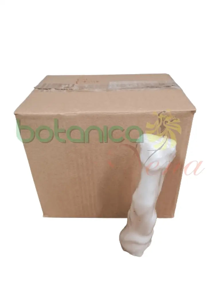 Velas Figura Gato Blanco - Botanica Nena