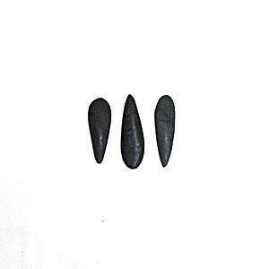 <p>Small ray stone - Piedra de rayo peque&ntilde;a. 2",</p>