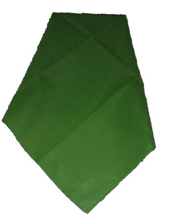 Pañuelo Verde Mediano 22" x 22"